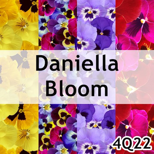 Daniella Bloom